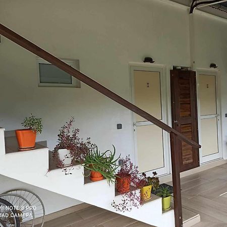 La Maison Du Voyage Tevaitoa Exteriör bild
